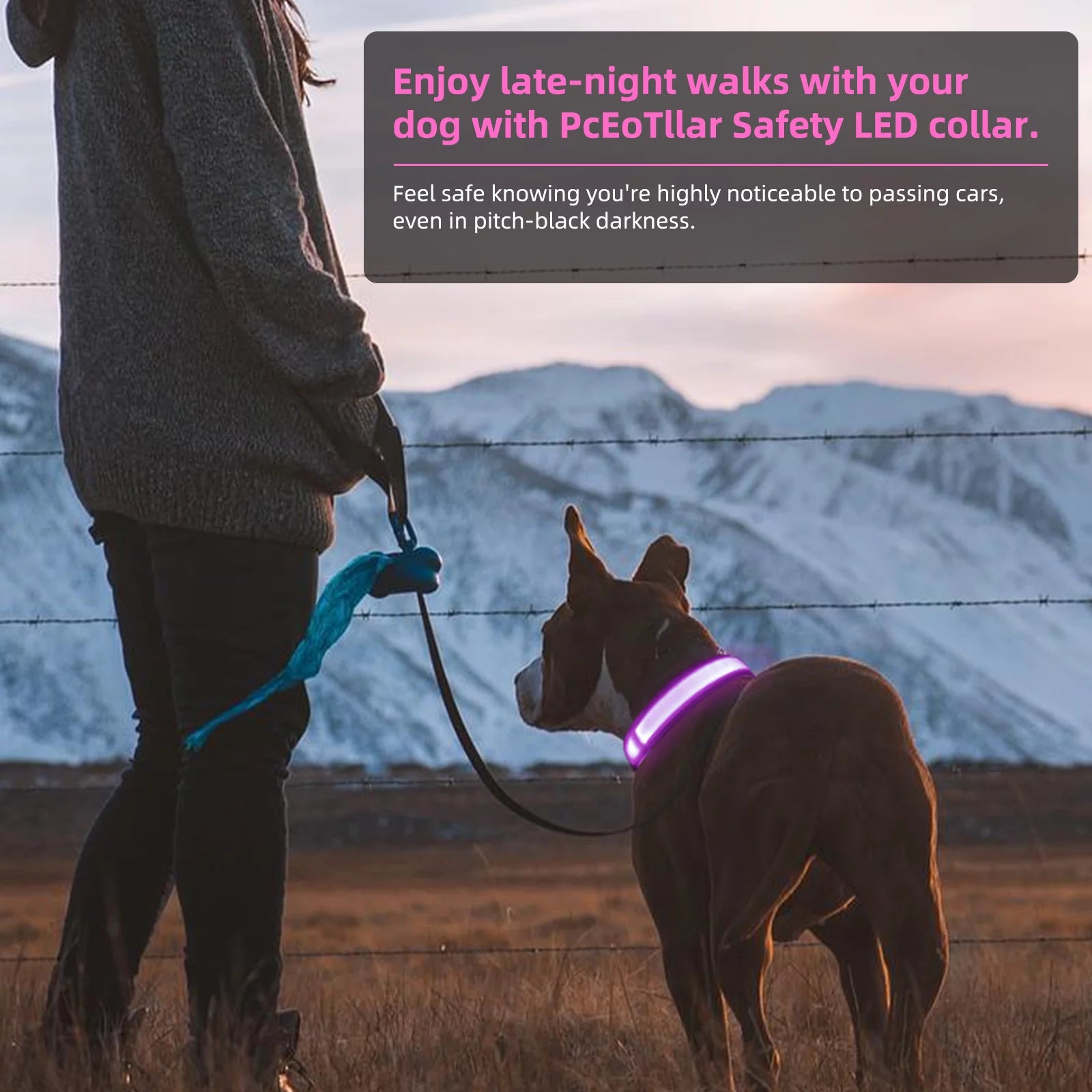 Light up LED Dog Collar, Waterproof Rechargeable for Night Walking RGB Colorful Adjustable Safety Dog Collar for Medium Dogs (Pink)